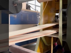 WPC Płyty ścienne dźwiękoodporne Fabryka Bezpośrednie wodoodporne i wodoodporne