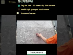 Wysokiej jakości Panele ścienne przyjazne dla środowiska Panele ścienne wnętrza z marmuru PET