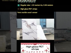 Bamboo Charcoal Wood Veneer PET Marmurowa Konstrukcja Dekoracyjna PVC Panel ścienny PET Wall Board