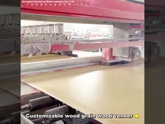 2.44m Bamboo Charcoal Wall Board Nowoczesny Light Luxury Customized Długość PVC Carbon Crystal Wallboard